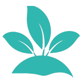 Medioambiente (1)
